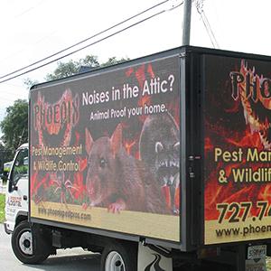 Pest Control Truck Passing By Tarpon Springs FL